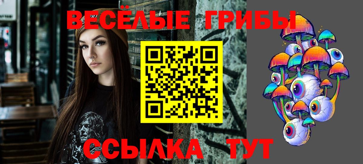 где купить наркоту  Вход с VPN  Новороссийск  Псилоцибиновые грибы прущие грибы 