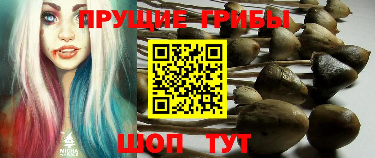 Галлюциногенные грибы ЛСД Новороссийск